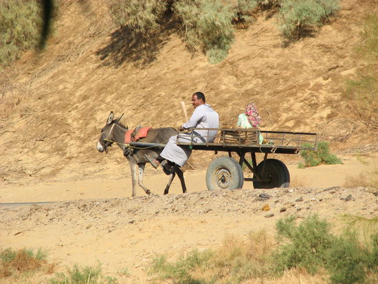 überhaupt ist es recht geschäftig hier