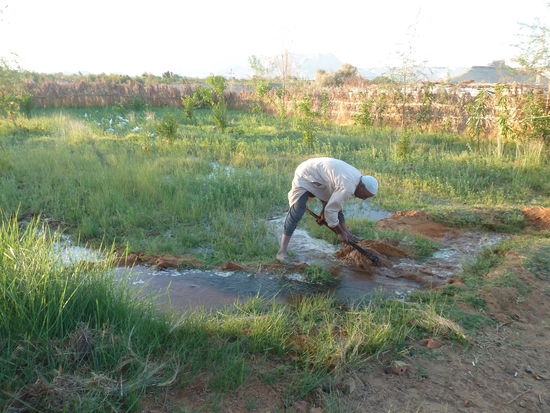 verteilt ein Mann das Wasser