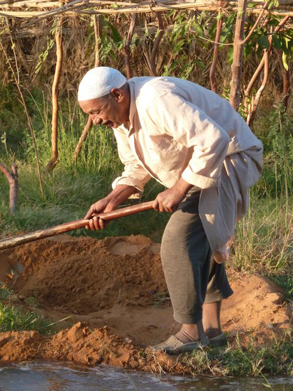 gerade auf sein Feld.