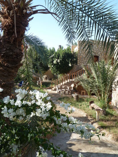 kleiner Garten im Oasis Hotel