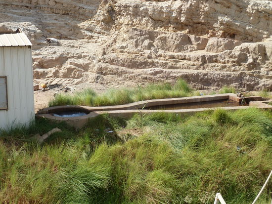 Ain Bishmu ist die älteste Quelle (eigentlich besser: Brunnen) und liegt in einem tiefen Erdeinschnitt - das zu Tage tretende Wasser ist recht heiß!