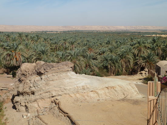 von hier hat man einen tollen Blick über die 90km lange Oase Bahariya