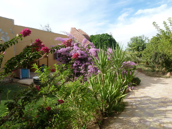 Garten bei Chris Leber