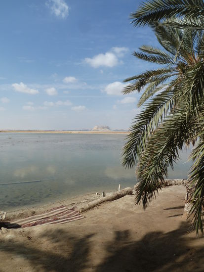 Fatnas - 29° 11' 32.39" N /  25° 28' 42.70" E