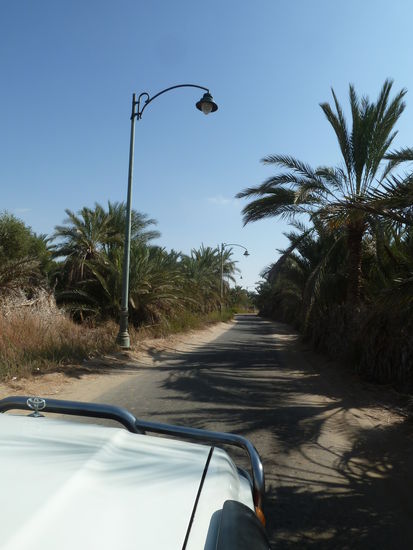 ganz Siwa ist mit Laternen 'bestückt'