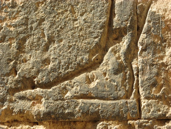 deutlicher - da größer - ist der Fuß zu erkennen