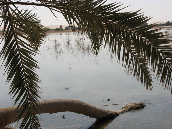 Blick auf das große Sandmeer