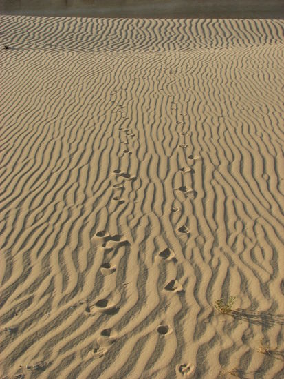 Spuren im Sand