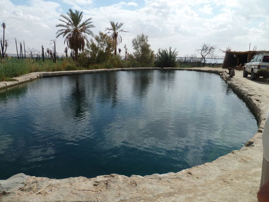 Abu Shuruf Spring -  29° 10' 58.32" N /  25° 44' 35.67" O
