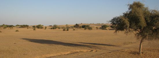 der Weg in die Wüste