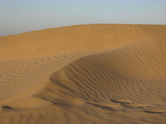 wir lieben die Wüste