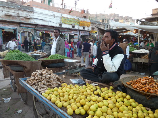 das angebotene Gemüse sieht sehr appetitlich aus