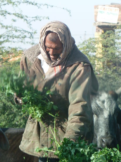 der Grünverkäufer irgendwo im nirgendwo