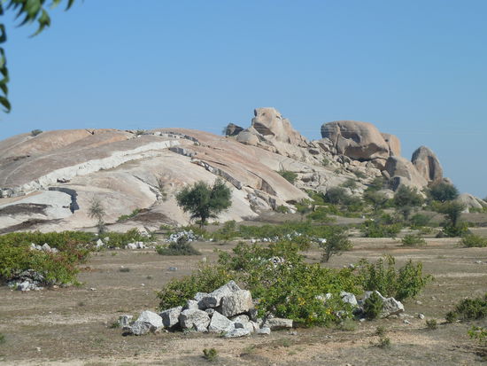 ist das das Gesicht eines Hamsters?