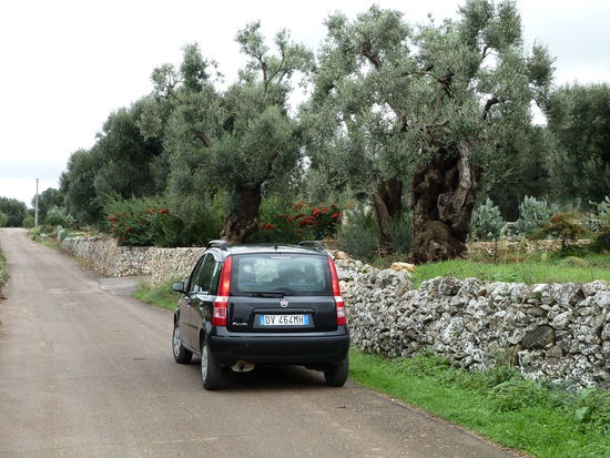 ein kleines Auto ist sinnvoll, wenn man in die Altstädte fährt und die Gassen immer enger werden. Selbst mit unserem Panda haben wir manchmal die Außenspiegel einklappen müssen