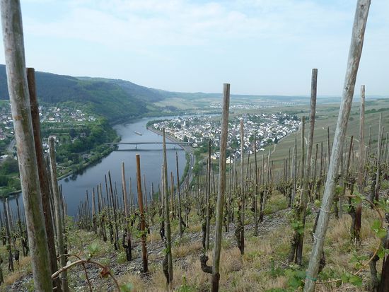 Mehring an der Mosel