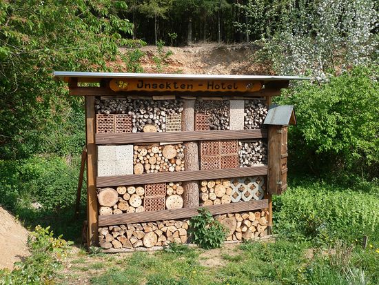 Insektenhotel