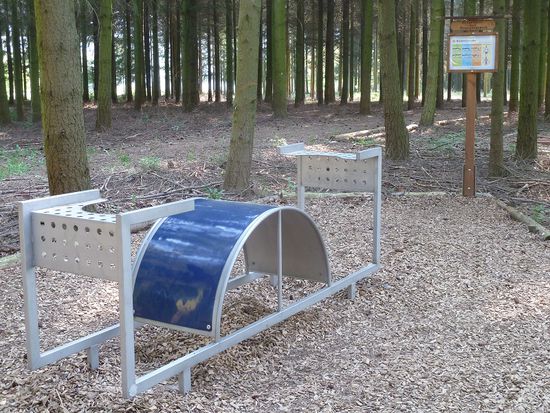 Rückenstrecker - eine von zahlreichen Übungsstationen