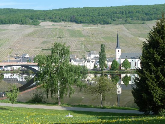 Blick auf Piesport