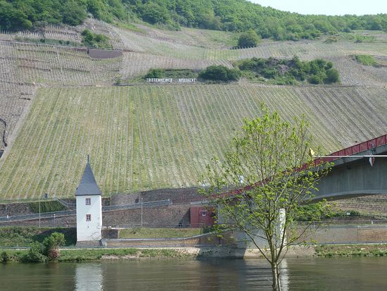 Blick auf die beste Lage von Trittenheim - Apotheke