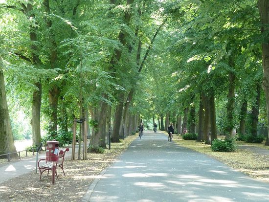 zur Promenade - früher wohl einmal Ringstrasse - heute ein Eldorado für Radfahrer