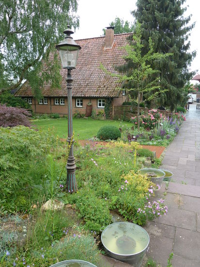 Wasserpflanzen in Zinkwannen