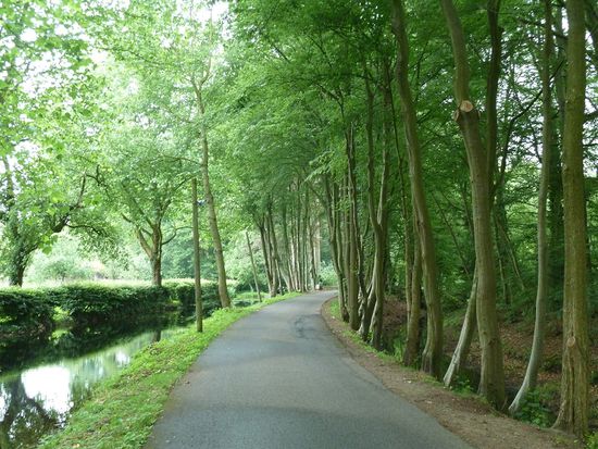 Vom Parkplatz laufen wir ein schöne Allee am Wasser der zahlreichen Gräften entlang zum Haus Welbergen