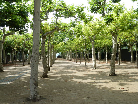Platanenpark