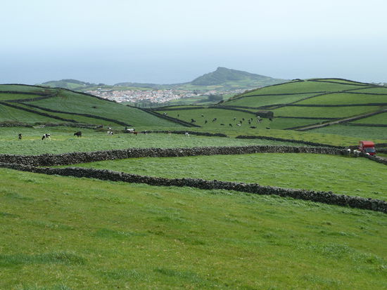die sattgrünen Wiesen in den flacheren Inselregionen sind mit Mauern aus Lavabrocken abgetrennt
