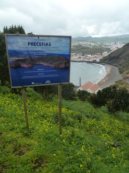 nur auf der Schautafel hat man den Blick von der Meerseite auf die caldeirinhas - man erkennt hier die Krater besser