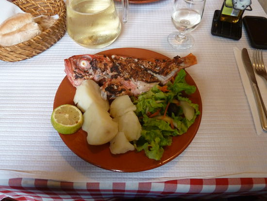 alfonsino - ganzer Fisch