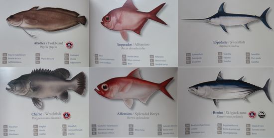arbrotea - alfonsino - espadarte
cherne    - alfonsim  - bonito