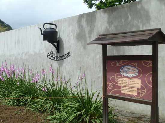 Die Teeplantage Porto Formosa