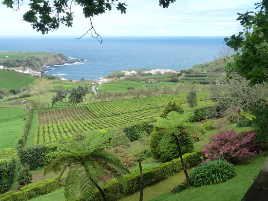 ist nicht allzu groß.