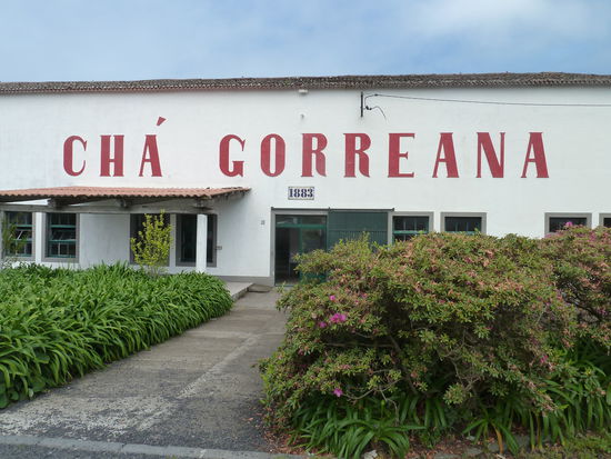 Teeplantage Gorreana