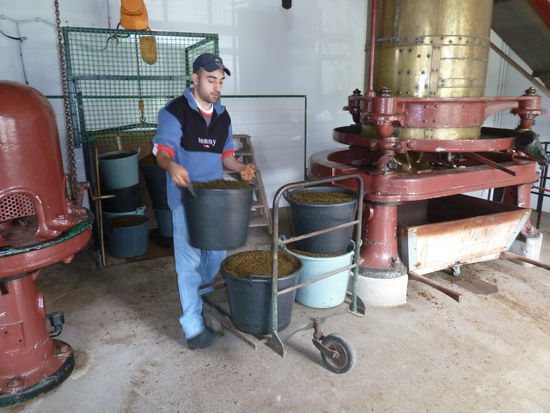 getrocknete Teeblätter werden weiter verarbeitet