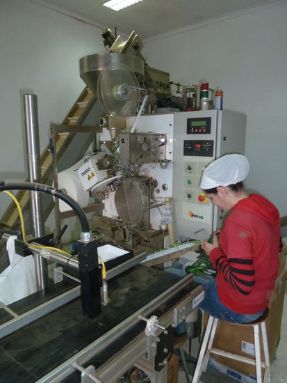 der 'Staub' wird in Teebeutel abgefüllt und verpackt