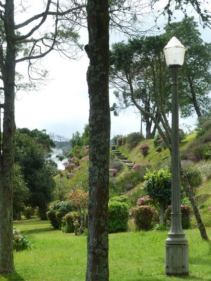 im Park von Furnas