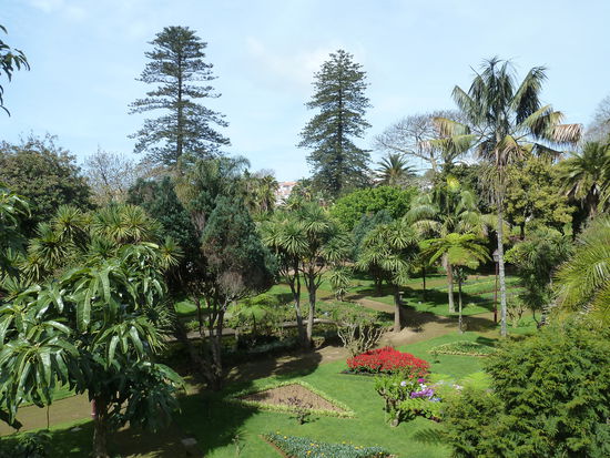Jardim Duque da Terceira