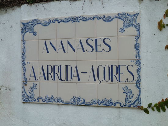 Ananasplantage in Faia de Baixo