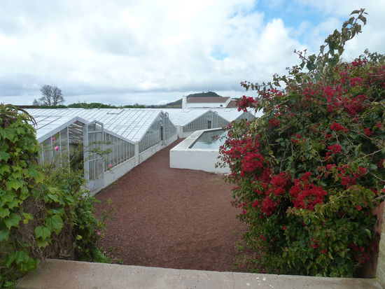 Das Glas der gewächshäuser ist geweißt, damit die Sonne die Wärme bringen, aber die Pflanzen nicht verbrennen kann.