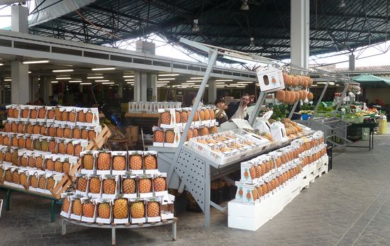 Ananas bis zum Abwinken -