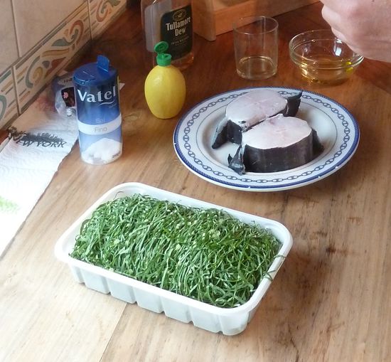 congro a posta und caldo verde