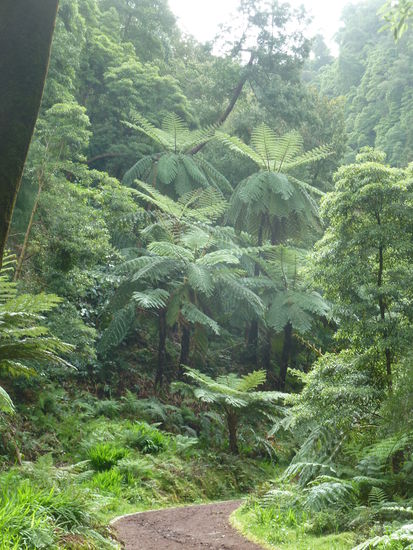 Spaziergang zu den Fumarolen und dem badebecken von Caldeira Velha