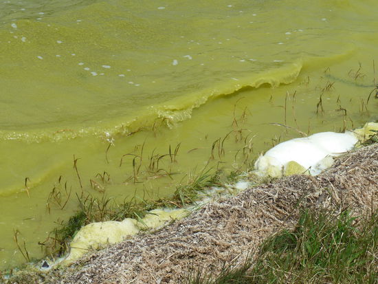 irgendwie sieht das Ufer 'komisch' aus