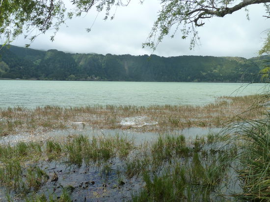 aber Karpfen scheinen sich hier wohl zu fühlen