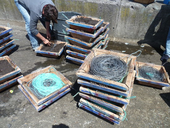 in flachen Holzkisten liegt aufgerollter Draht/ Nylonschnur, der wird abgedeckt mit schwerem Lavasand und Steinen