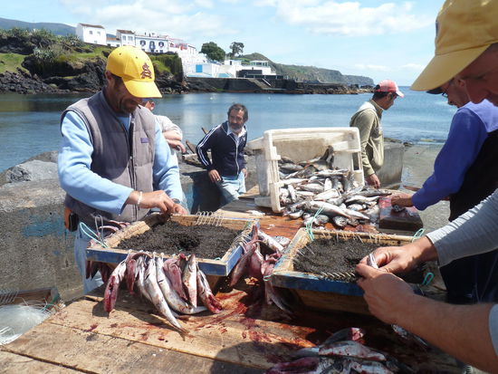 an die nach außen liegenden Haken werden kleine Fische angebracht, die Kisten werden ins Wasser abgelassenund so  kann man dann tiefsee-angeln bzw. -fischen.