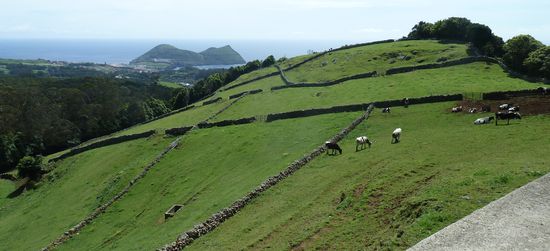 Lavanmauern umgrenzen die Weideflächen