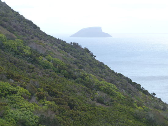 Blick auf die Ziegeninseln (ilheus das cabras)